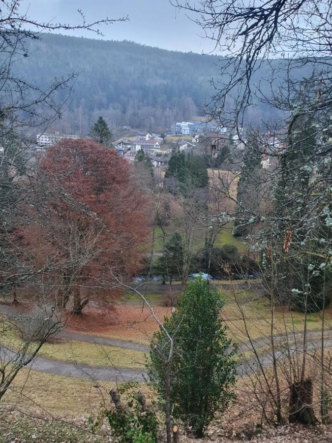 Ferienwohnung Nina Direkt In Zentrum Bad Wildbad Eksteriør bilde